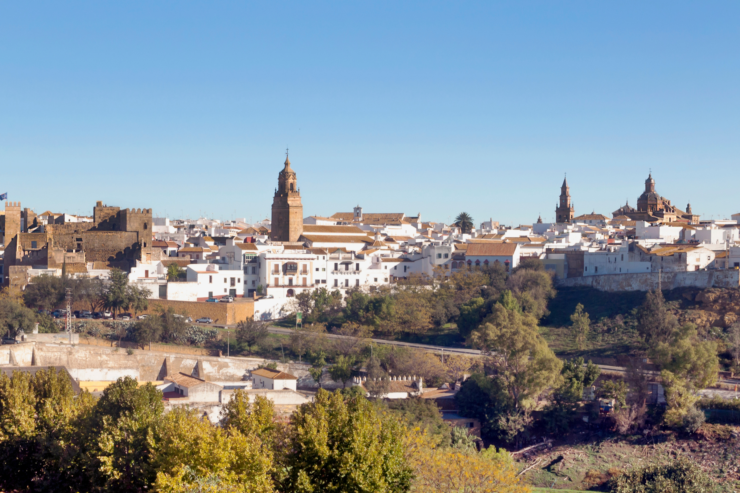carmona (2).webp